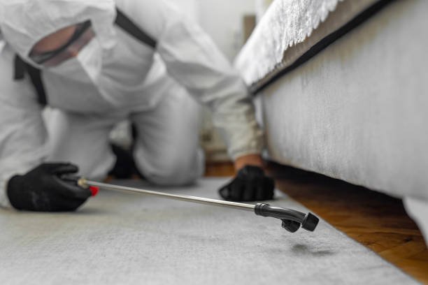 Professional Mosquito Control technician working in Tyler County County, TX